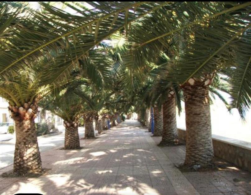 Vcc Home'S Puerto de Mazarrón Exterior foto